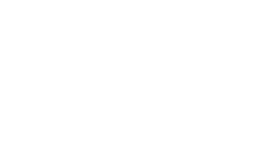 german desing award winner 2024